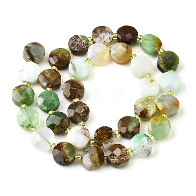 Natural Serpentine Beads Strands G-B094-A33-01-1
