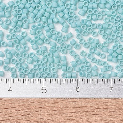 MIYUKI Delica Beads X-SEED-J020-DB1595-1