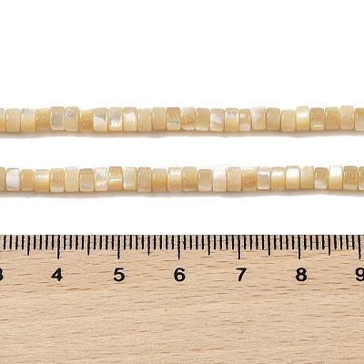 Natural Trochid Shell/Trochus Shell Beads Strands BSHE-H018-02-1