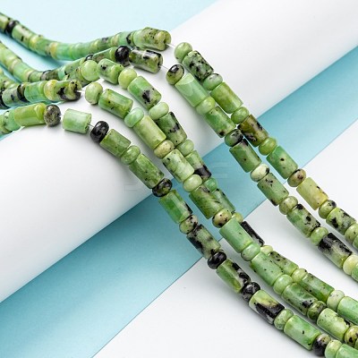 Natural Serpentine Beads Strands G-C074-01-1
