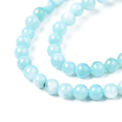 Natural Freshwater Shell Beads Strands BSHE-T009A-01E-1