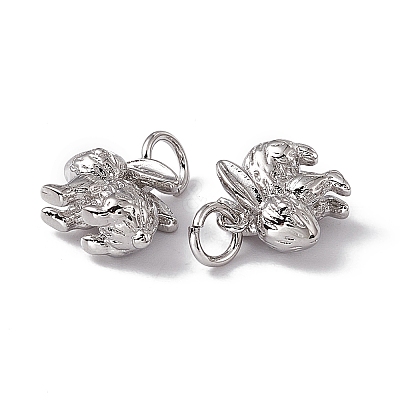 Rack Plating Brass Charms KK-C007-17P-1
