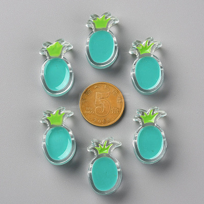 Transparent Enamel Acrylic Beads TACR-S155-002G-1