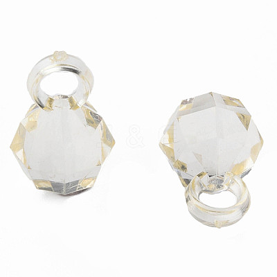 Transparent Acrylic Pendants MACR-S373-125-B09-1