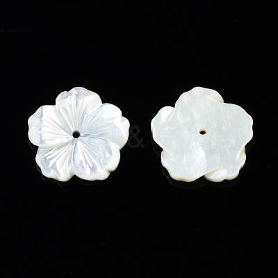 Natural White Shell Mother of Pearl Shell Beads SSHEL-T014-42B-1
