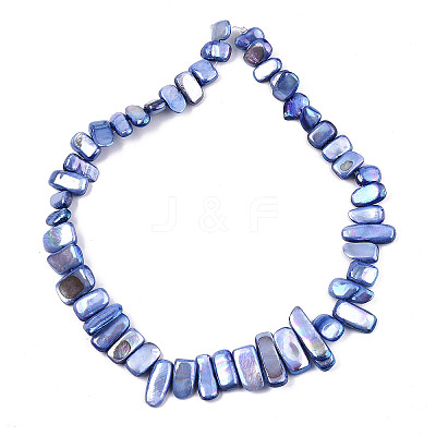 Natural Freshwater Shell Beads Strands X-SHEL-N026-123G-1