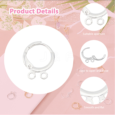 40Pcs 2 Color 2-hole Rack Plating Eco-friendly Brass Huggie Hoop Earring Findings KK-FH0006-63-1