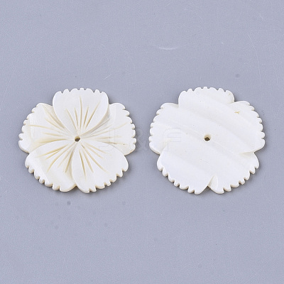 Freshwater Shell Beads SHEL-T016-04-1