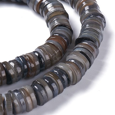 Natural Freshwater Shell Beads Strands X-BSHE-I016-04A-1
