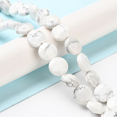 Natural Howlite Beads Strands G-K357-B06-01-1
