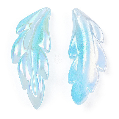 Transparent Acrylic Pendants TACR-TAC0005-03B-1