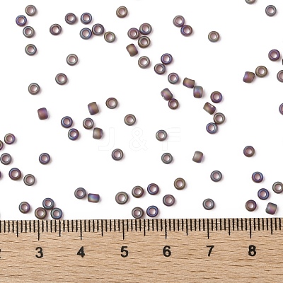 TOHO Round Seed Beads SEED-JPTR08-0166CF-1