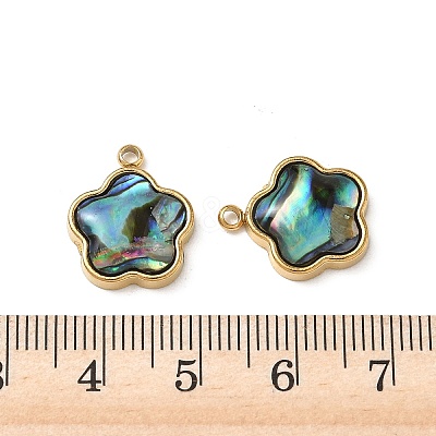 Natural Paua Shell Pendants STAS-G397-12G-02-1
