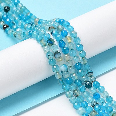 Natural Agate Beads Strands G-Q1000-02H-1