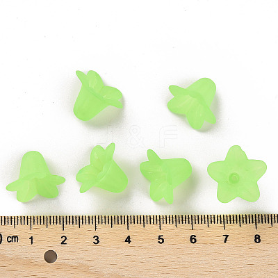 Transparent Acrylic Beads PLF018-05-1