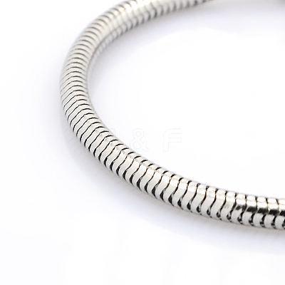 Tarnish Resistant 304 Stainless Steel European Style Round Snake Chains Bracelets STAS-J015-02-1