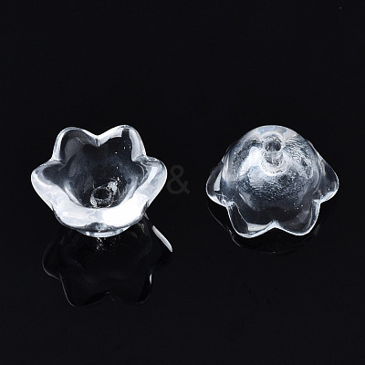 Transparent Glass Beads GLAA-Q089-002C-001-1