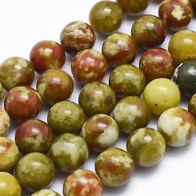 Natural Bloodstone Beads Strands G-I213-25-12mm-1