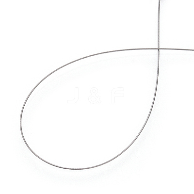 Non-Tarnish Tiger Tail Wire TWIR-N004-0.3mm-P-1