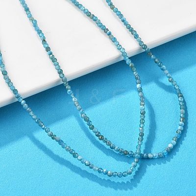 Natural Apatite Beaded Necklaces NJEW-JN02492-02-1