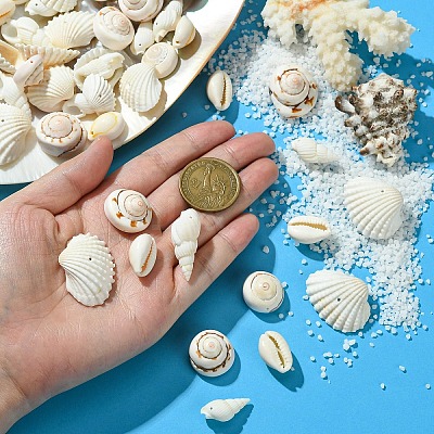 48Pcs 4 Styles Natural Shell Beads BSHE-YW0001-06-1