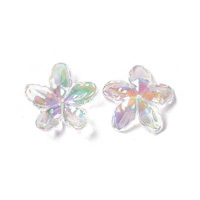 Transparent Acrylic Bead Caps OACR-C009-15-1