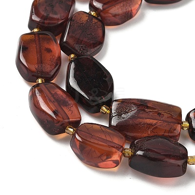 Natural Amber Beads Strands G-L095-C01-03-1