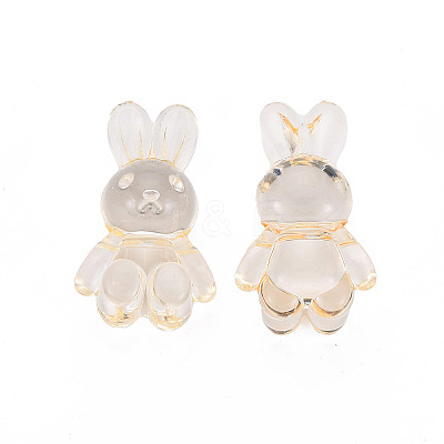 Transparent Acrylic Beads LS-MACR-S373-81-B04-1
