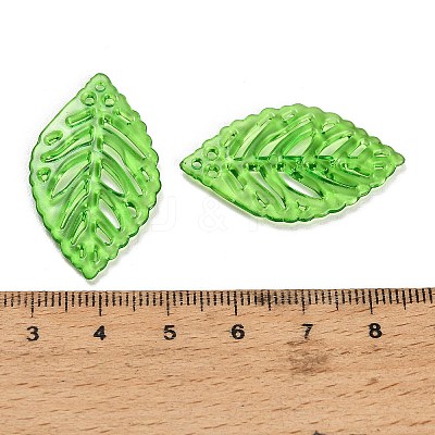 Transparent Acrylic Pendants AC-CBA5040-01E-1