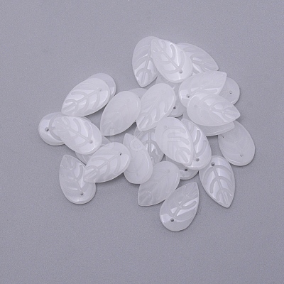 Handmade Lampwork Beads LAMP-CJC0004-11C-1