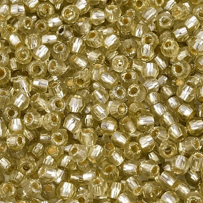 Silver Lined Glass Seed Beads SEED-T007-18A-05-1