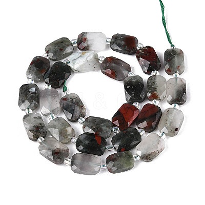Natural Africa Bloodstone Beads Strands G-T139-87-1