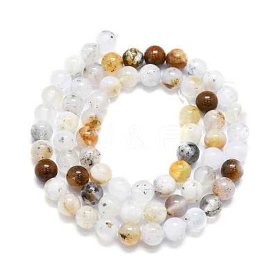 Natural White African Opal Beads Strands G-K245-A18-02-1