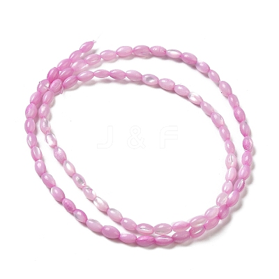 Natural Trochus Shell Beads Strands SHEL-K006-19A-1
