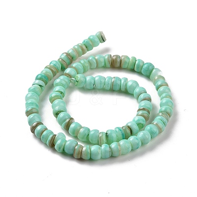 Natural Cultured Freshwater Shell Beads Strands SHEL-F002-01C-1