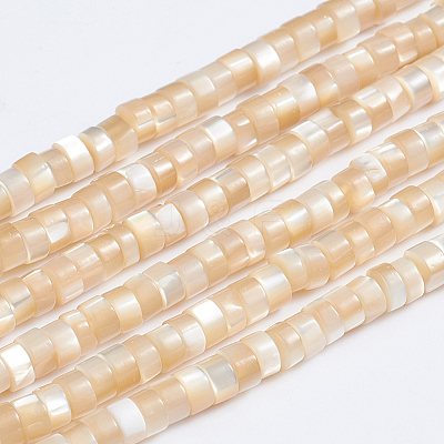 Natural Trochid Shell/Trochus Shell Beads Strands SSHEL-L016-13B-1