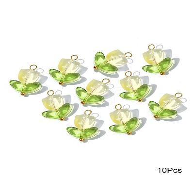 Handmade Lampwork Pendants PALLOY-YW028-01-1