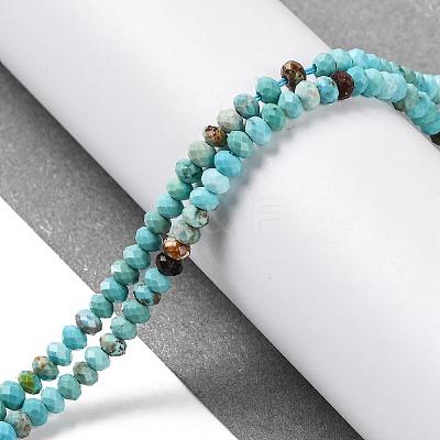 Natural Howlite Beads Strands G-H025-03B-01-1