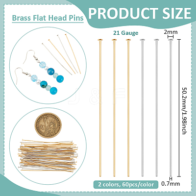 120Pcs 2 Colors Brass Flat Head Pins FIND-BC0019-23-1