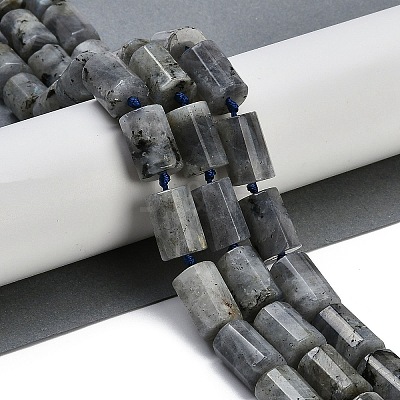 Natural Labradorite Beads Strands G-G162-D13-02-1