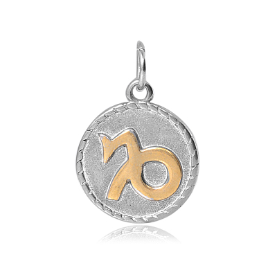 316 Stainless Steel Pendants STAS-S045-40J-1