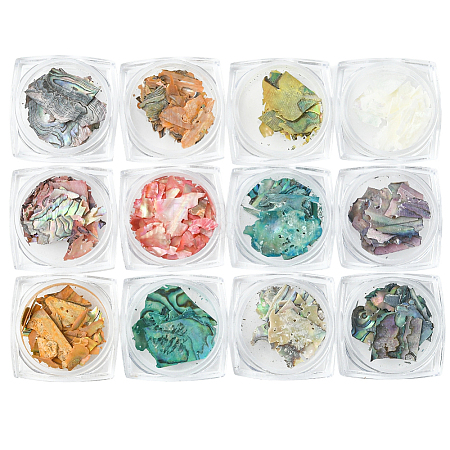 12 Colors Shell Chips Nail Art Decorations Accessories DIY-WH20002-669-1