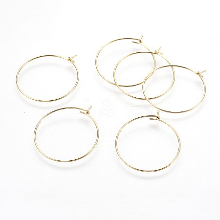 316 Surgical Stainless Steel Hoop Earring Findings LS-X-STAS-P221-01B-G-1