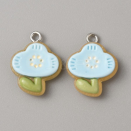 Translucent Resin Pendants RESI-TAC0019-08D-1