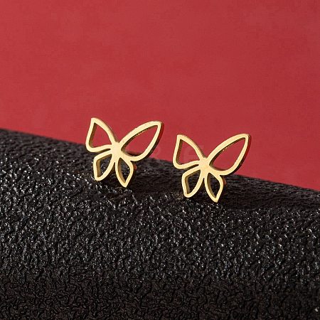 Stainless Steel Stud Earrings for Women PW-WGFE412-17-1