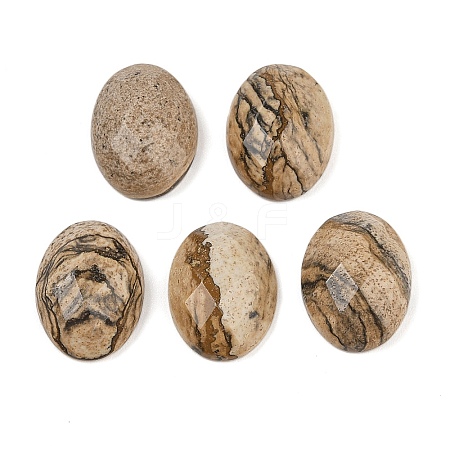 Natural Picture Jasper Cabochons G-Q186-01C-1