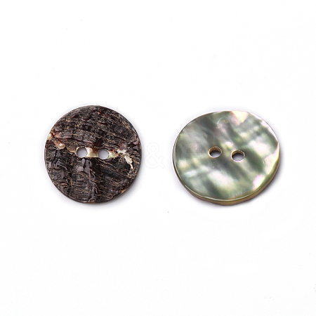 Abalone Shell/Paua Shell X-BSHE-I011-04A-1