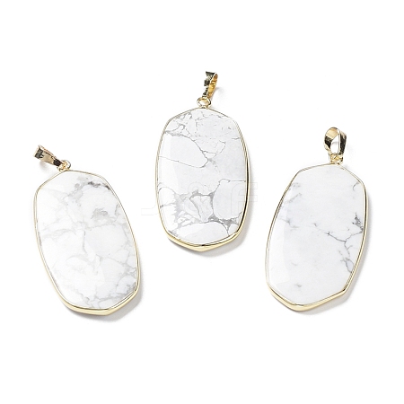 Natural Howlite Pendants G-K338-05C-1