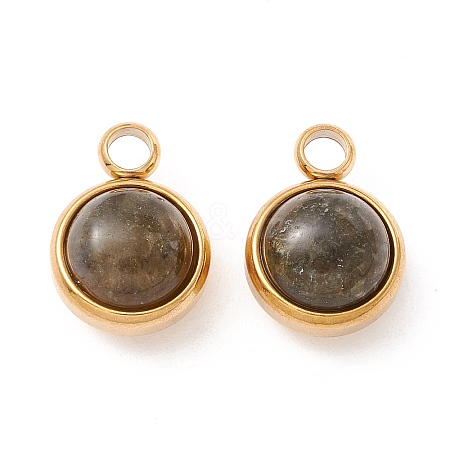 Natural Labradorite Charms G-K325-01G-04-1