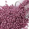 TOHO Round Seed Beads SEED-XTR11-0959F-1